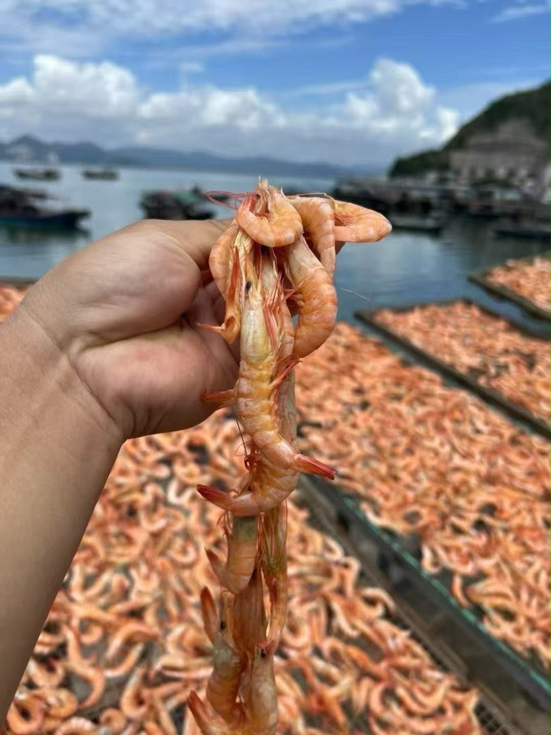 野生盧蝦乾